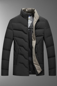 92002/P165商务羽绒服外套中青年爸爸羽绒衣立领外套图片