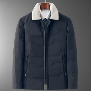 92001/P190冬装羽绒服中老年休闲商务羽绒服外套爸爸羽绒衣图片