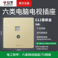 G12 большая панель Gold-Six-Type Computer+TV Socket