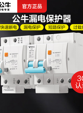 公牛2p漏电保护开关家用220v空开漏电32a总闸空调63a漏保断路器