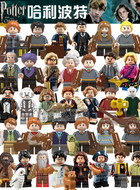 兼容国产哈利波特积木人仔赫敏罗恩伏地魔益智拼装儿童男孩玩具