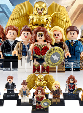 DC超级英雄黄金神奇女侠豹女第三方积木人仔WM6100小人拼装玩具