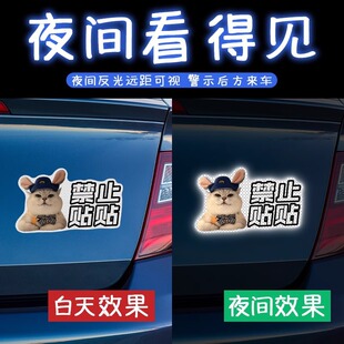 两狗对视汽车反光贴宠物搞笑车贴丁制磁吸汽车车尾实习贴新手上路