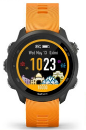 Garmin佳明forerunner245/245M户外运动手表血氧心率GPS跑步腕表-封面