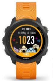 Garmin佳明forerunner245/245M户外运动手表血氧心率GPS跑步腕表