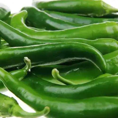 农家自种青尖椒500克 青辣椒新鲜蔬菜现摘现发青椒江西九江露天种