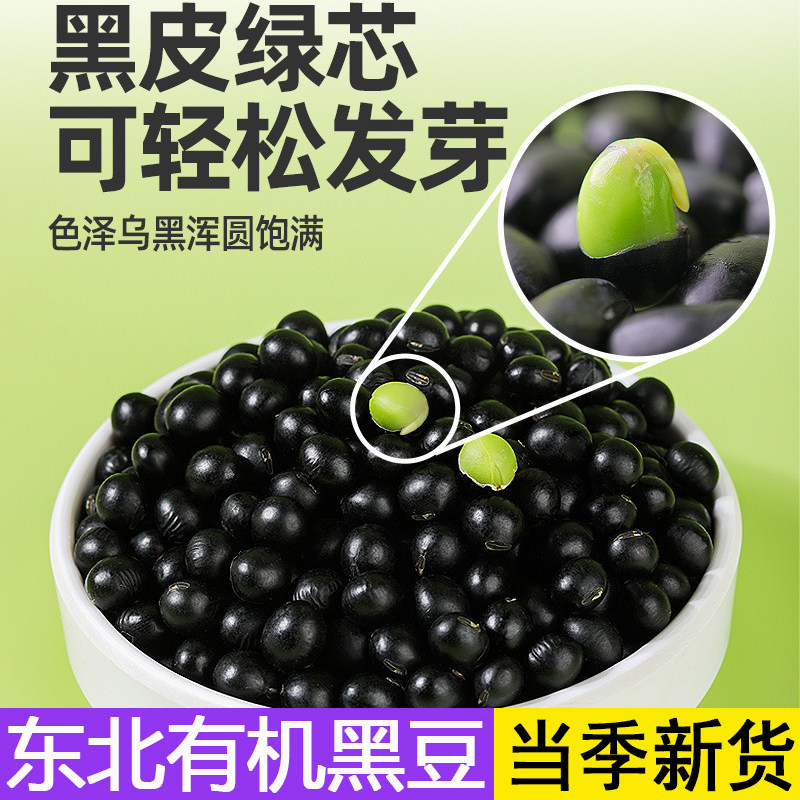 东北有机黑豆绿芯打豆浆当季新货