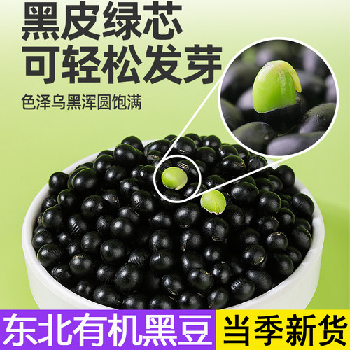 东北有机黑豆绿芯打豆浆当季新货