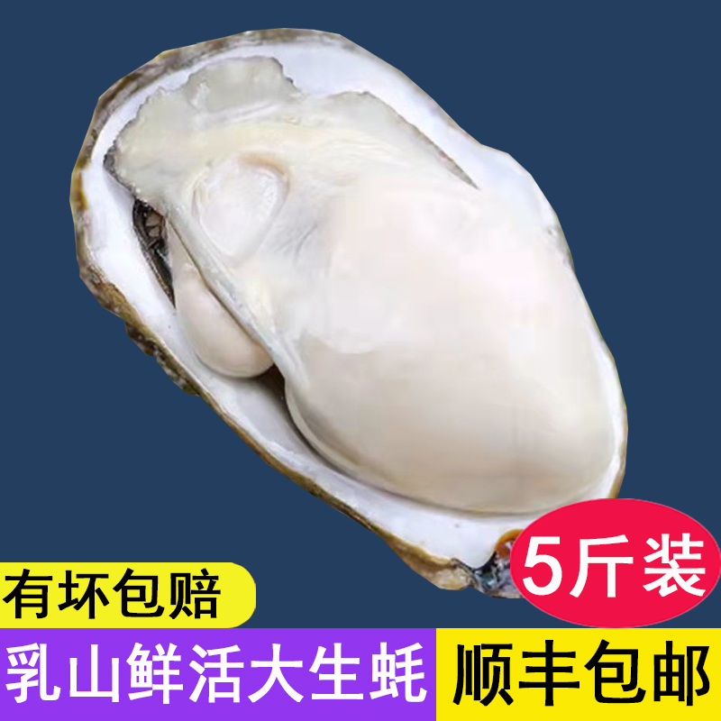 乳山生蚝鲜活特大牡蛎海蛎子5斤