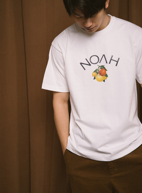 NOF studio  水果徽标美潮宽松百搭短袖T恤 男女同款