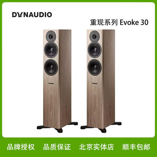 Dynaudio/丹拿重现30 Evoke30无源电视落地式音箱家用音响hifi