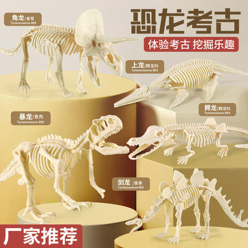 恐龙化石考古挖掘骨架挖宝考古diy石膏儿童兴趣培养拼接摆件玩具
