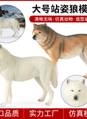 大号仿真野生森林动物狼模型儿童认知棕狼白狼灰狼家居摆件玩具