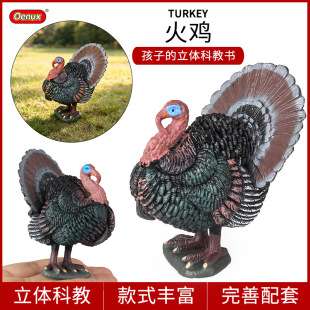 跨境农场家禽动物模型仿真实心火鸡公鸡天鹅母猪野猪儿童玩具摆件