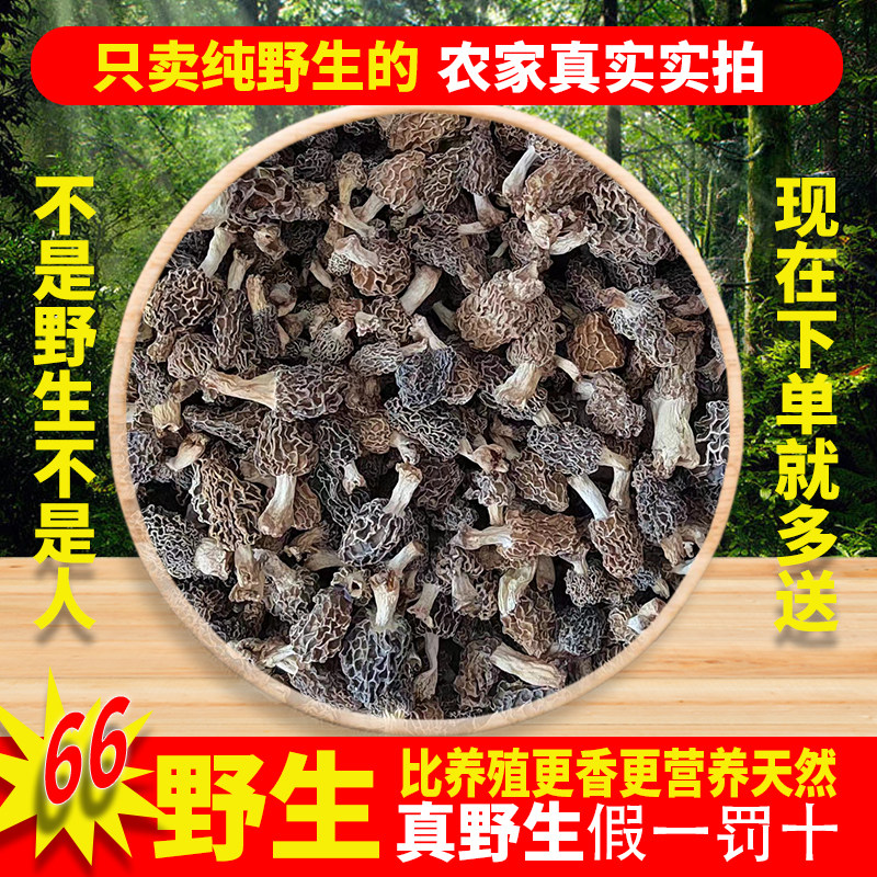 野生羊肚菌干货特级精选纯天然野生羊蘑菇500g比西藏云南陕西菌好