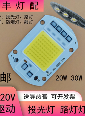 免驱动LED投光灯灯芯20W30W50W集成灯珠光源工矿防爆路灯芯片220V