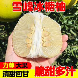 湖南怀化安江冰糖柚雪峰柚小柚子新鲜水果老树白心小苦柚多汁包邮