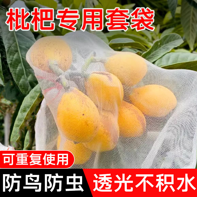 枇杷套袋专用袋防虫防鸟水果桃子果袋番茄莲雾苹果防虫神器纱网袋