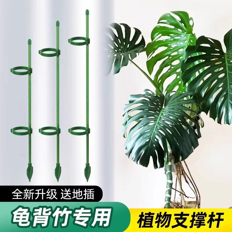 花架阳台2025新款龟背竹植物支撑杆固定神器月季爬藤防倒伏支架