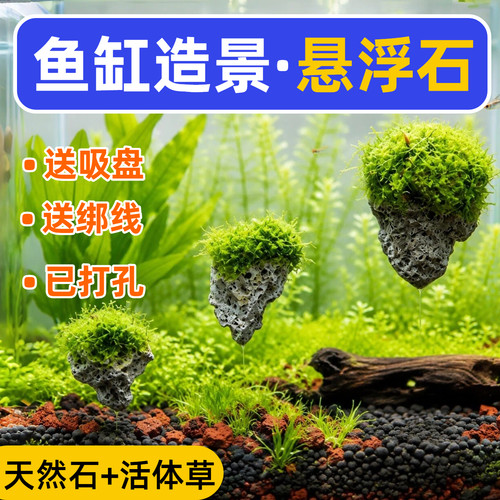 鱼缸悬浮石净水培菌懒人造景