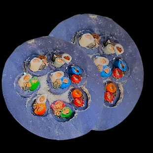 英国范登美/Van Damme扇尾线8路8P辫子线发烧音频信号平衡话筒线