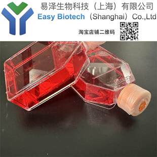 CTLA4 IG-24培养 可传代