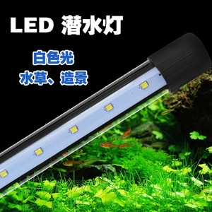 LED潜水灯水族鱼缸水草白光灯管 蓝白光灯淡海水鱼增艳防水包邮