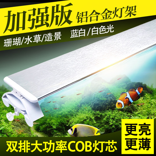 海水灯架质量怎么样 海水灯架口碑怎么样 小麦优选