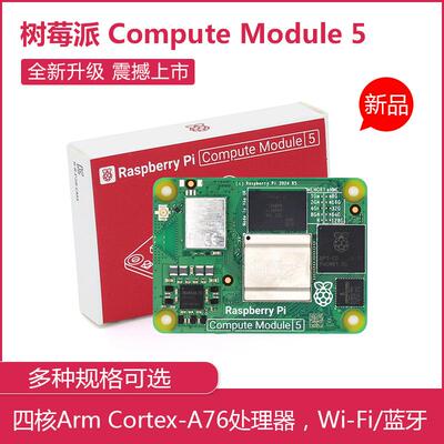树莓派CM5计算模块核心板 官方原装CM5 IO官方套件 底板外壳散热