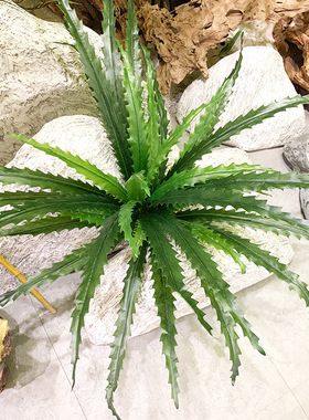 18叶锯齿剑叶植物墙配材仿真鸟蕨热带雨林山苏花鸟巢蕨盆景凤尾蕨