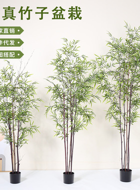 仿真竹子假竹子紫竹盆栽大型落地装饰假绿植盆栽摆件仿生植物造景
