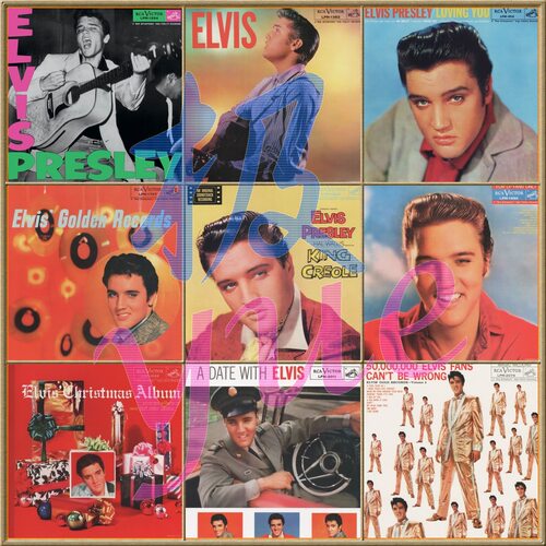 Elvis Presley 猫王【总店俱乐部】专辑+多碟版现场 精致收藏控级