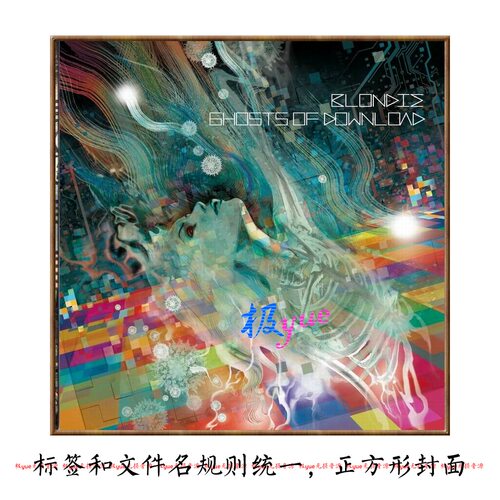 Blondie金发女郎乐队【总店欧美音乐】全集13专16/24/32Bit目录详