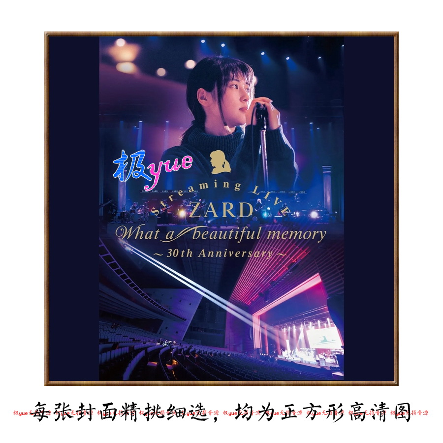 ZARD乐队坂井泉水 实销100+【总店日语无损】全套太完美啦 图页详