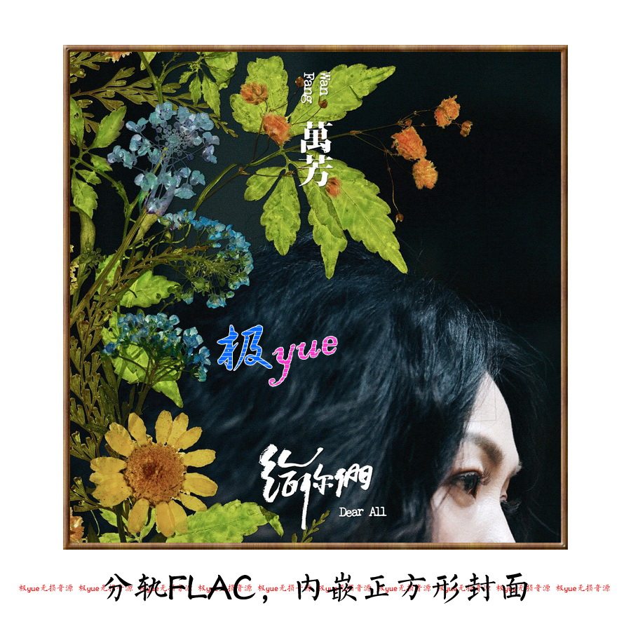万芳【总店华语无损乐库】精校22专+2EP 分轨FLAC 完整收藏版整套