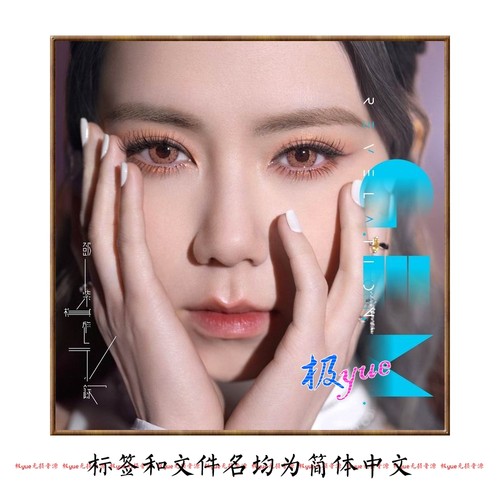 邓紫棋 实销40+【总店华语无损】正方形封面等精致整理 目录页详