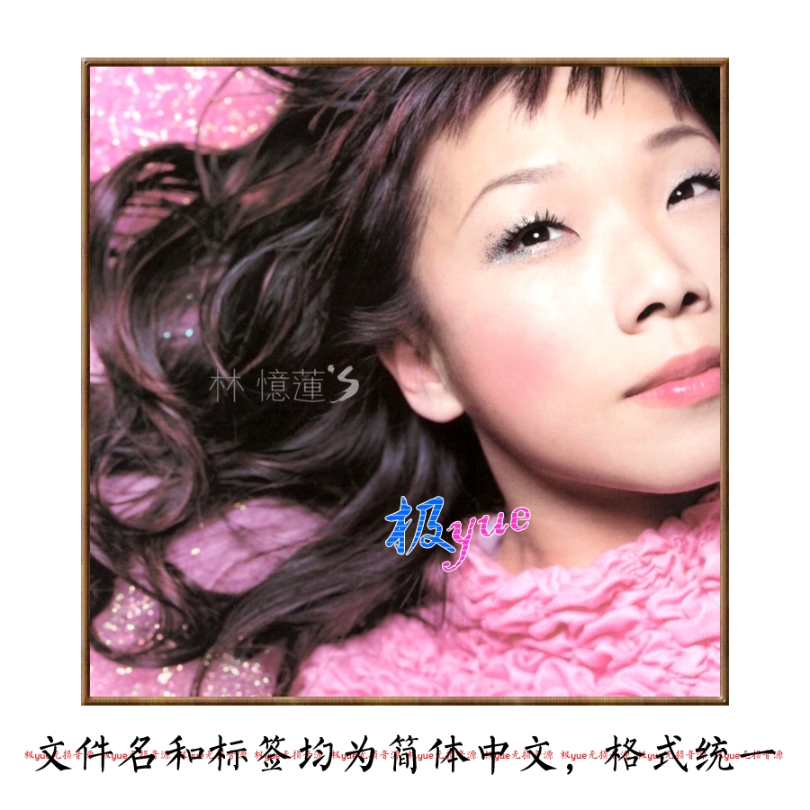 林忆莲【总店无损宝藏库】精致精校21张SACD专辑 典藏级 分轨DSF