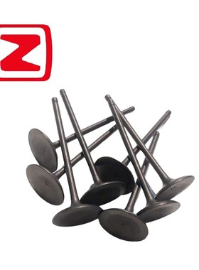 适配众泰Z700/T600/T700大迈X7/1.8T/TN4G18T发动机进排气门油封