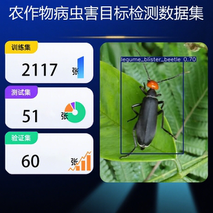 病虫害检测数据集 yolo目标检测数据集 深度学习目标检测数据集