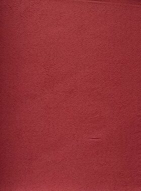 故宫红中国红宫墙红墙布背景墙摄影棚背景服装店壁布3.15米HG8039
