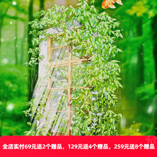 OKMT新七天和纸胶带手帐造景背景 梦喃呓语 夏日汽水气球云梦浮游