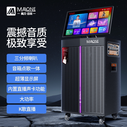 曼龙GT-312/GT-315三分频大功率触屏点歌机音响广场舞教学弹奏
