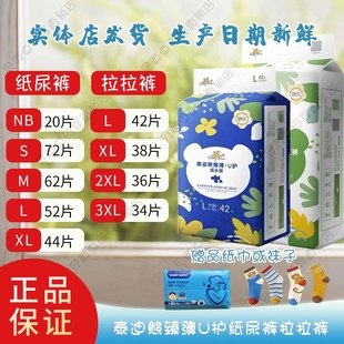 通用尿不湿 呼吸透气学行裤 泰迪熊臻薄宠爱U护婴儿纸尿裤 拉拉裤