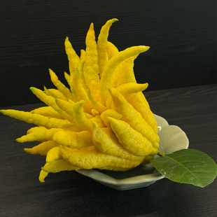 现摘现发金华佛手佛手柑观赏摆件闻香香橼大佛手柑果食用鲜果