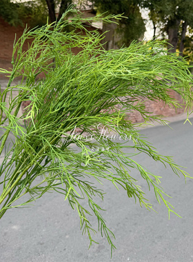 谨曦绿植婚庆仿真花天津