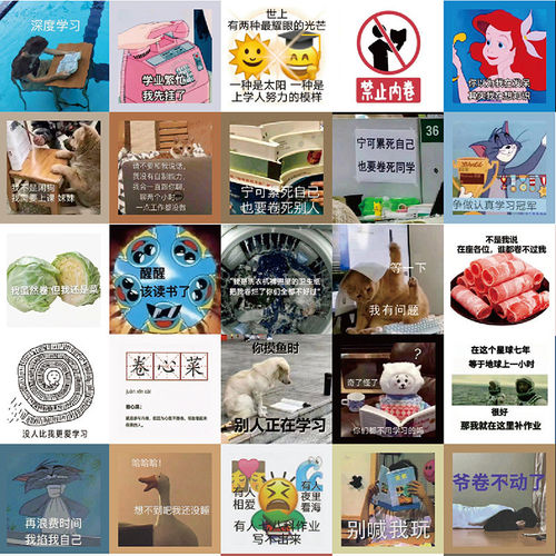 学习表情励志行李箱搞笑抽象贴纸