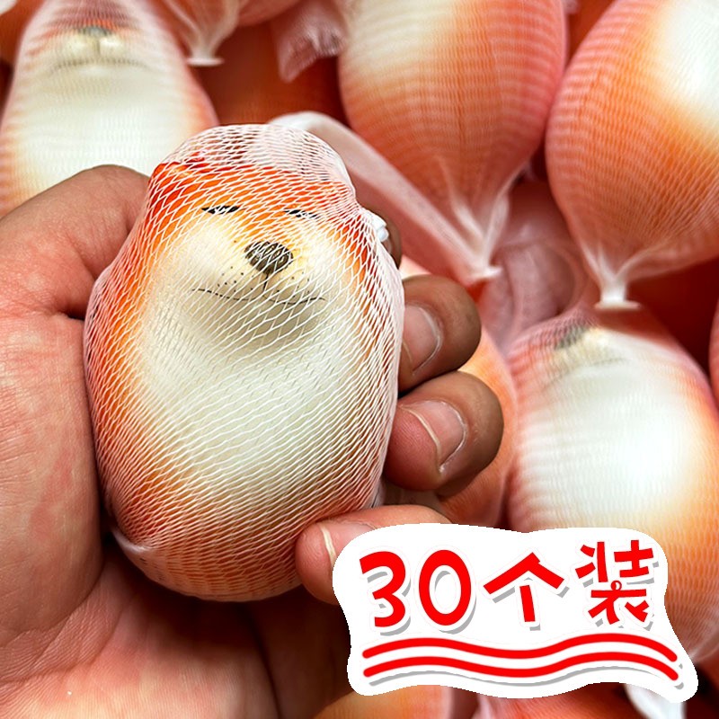 幼儿园小礼品奖励全班六一儿童节礼物可爱解压玩具学生实用伴手礼