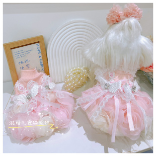 小体狗狗衣服马尔济斯公主裙博美比熊蕾丝蓬蓬裙约克夏泰迪连衣裙