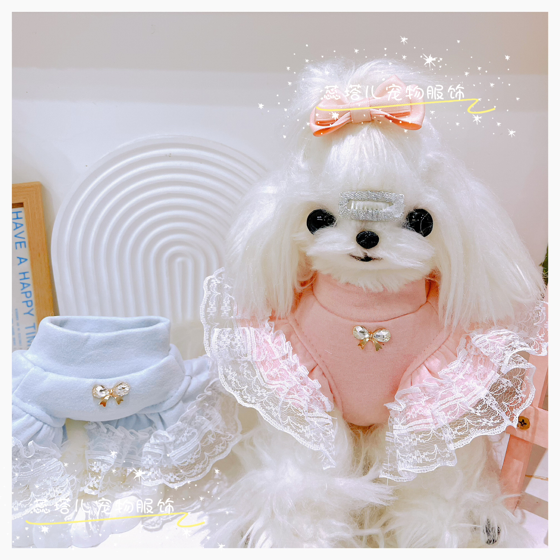 狗狗打底衫泰迪比熊博美小体飞袖蕾丝花边中领纯棉纯色秋冬背心