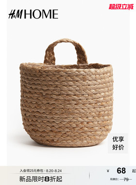 Hm2025新款秋季家用储物器具小型壁挂式储物篮1270930